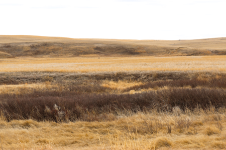 Malcolm Creek Farm | Sheridan County, Montana - image 26