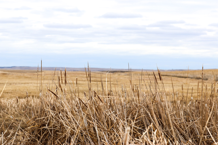 Malcolm Creek Farm | Sheridan County, Montana - image 35