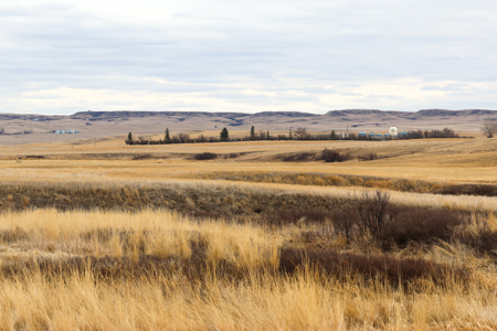 Malcolm Creek Farm | Sheridan County, Montana - image 27