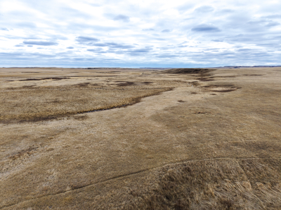 Malcolm Creek Farm | Sheridan County, Montana - image 19