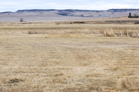 Malcolm Creek Farm | Sheridan County, Montana - image 38