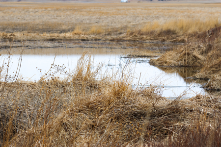 Malcolm Creek Farm | Sheridan County, Montana - image 31