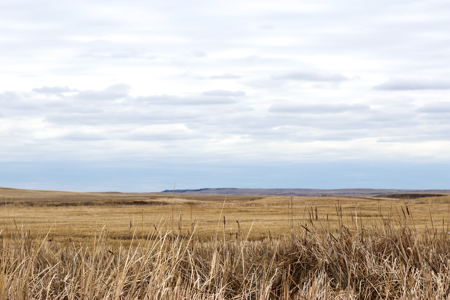 Malcolm Creek Farm | Sheridan County, Montana - image 14