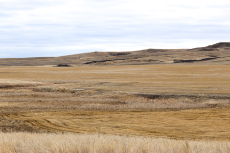 Malcolm Creek Farm | Sheridan County, Montana - image 22
