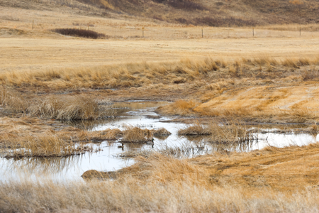Malcolm Creek Farm | Sheridan County, Montana - image 21