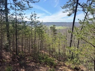 Modern Log Home on 125+ Acres Bordering National Forest - image 36