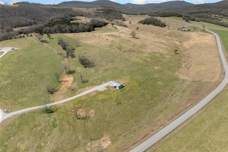 Custom Log Home on 36 Acres & Guest Home Newton Co For Sale - image 30