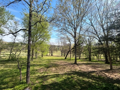 Golf Course Home for Sale Cherokee Village, AR - image 37