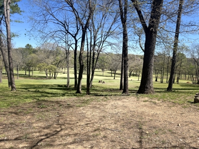 Golf Course Home for Sale Cherokee Village, AR - image 41