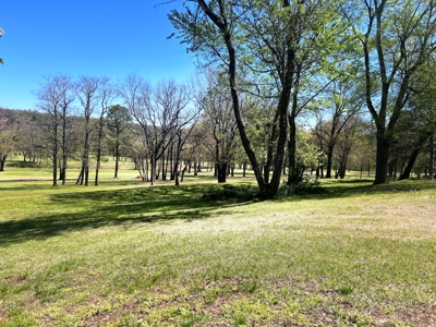 Golf Course Home for Sale Cherokee Village, AR - image 42