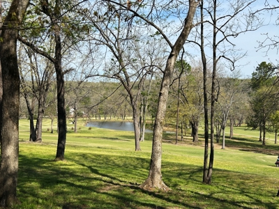 Golf Course Home for Sale Cherokee Village, AR - image 38