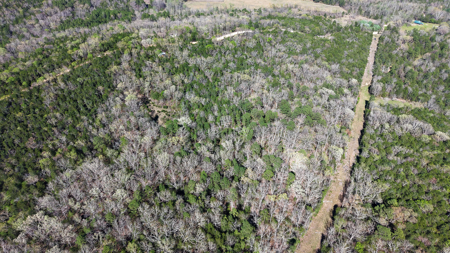 Hunting And Recreational Land For Sale In North Central Arkansas - image 13