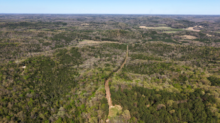 Hunting And Recreational Land For Sale In North Central Arkansas - image 14