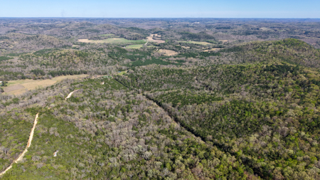 Hunting And Recreational Land For Sale In North Central Arkansas - image 12
