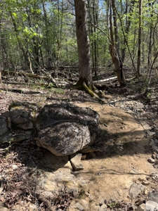 Hunting And Recreational Land For Sale In North Central Arkansas - image 2
