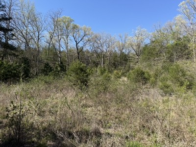 Hunting And Recreational Land For Sale In North Central Arkansas - image 9