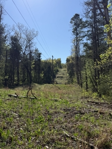 Hunting And Recreational Land For Sale In North Central Arkansas - image 10