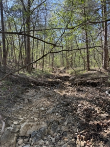 Hunting And Recreational Land For Sale In North Central Arkansas - image 4