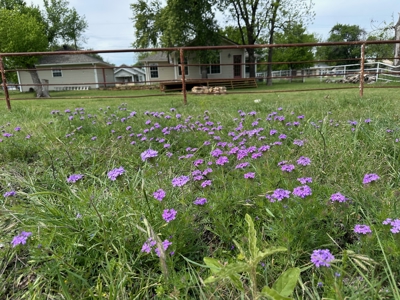 3 Bed Home on 1.99 Acres in Brownwood TX with Shop - image 31