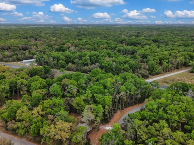 Prime Corner Lot On Us 19/98--Zoned Commercial - image 16