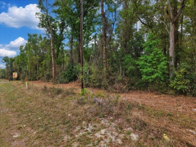 Prime Corner Lot On Us 19/98--Zoned Commercial - image 21