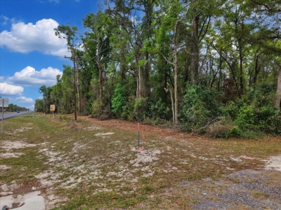 Prime Corner Lot On Us 19/98--Zoned Commercial - image 20