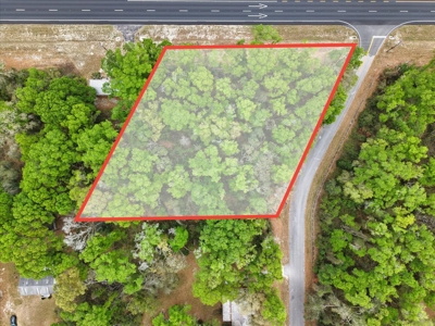 Prime Corner Lot On Us 19/98--Zoned Commercial - image 3