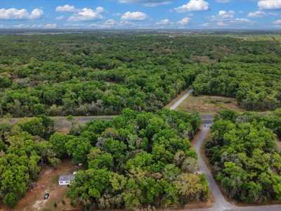 Prime Corner Lot On Us 19/98--Zoned Commercial - image 14