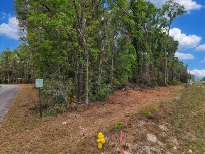 Prime Corner Lot On Us 19/98--Zoned Commercial - image 23