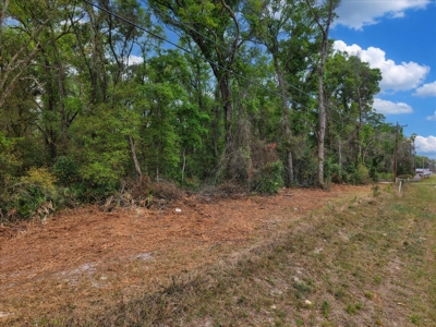 Prime Corner Lot On Us 19/98--Zoned Commercial - image 22