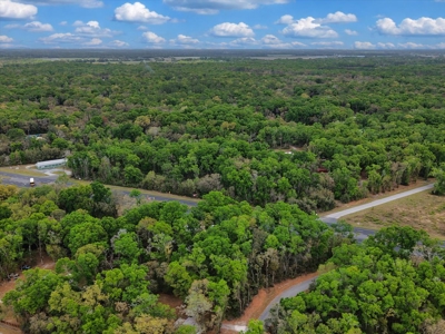 Prime Corner Lot On Us 19/98--Zoned Commercial - image 15