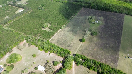 6.42 Acres For Sale in Bell, Fl! - image 6