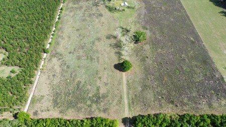 6.42 Acres For Sale in Bell, Fl! - image 7