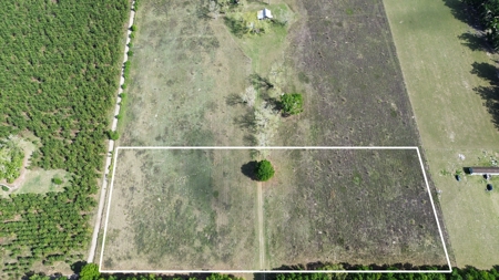 6.42 Acres For Sale in Bell, Fl! - image 3