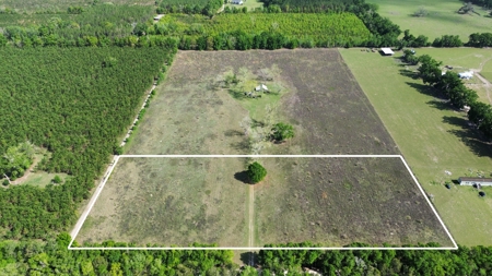 6.42 Acres For Sale in Bell, Fl! - image 2
