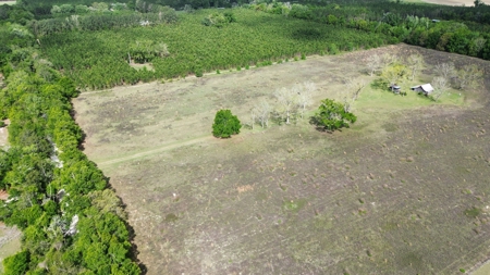 6.42 Acres For Sale in Bell, Fl! - image 5