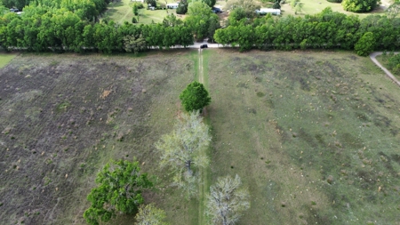 6.42 Acres For Sale in Bell, Fl! - image 4