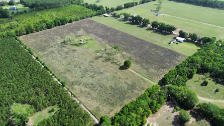 6.42 Acres For Sale in Bell, Fl! - image 8