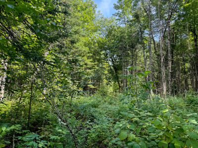 Expansive 325± Acre Land Parcel - Plymouth, ME - image 18