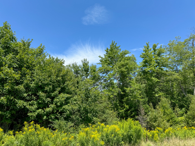 Expansive 325± Acre Land Parcel - Plymouth, ME - image 9