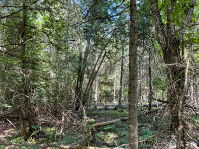 Expansive 325± Acre Land Parcel - Plymouth, ME - image 26