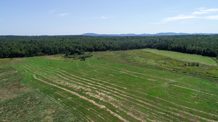 Expansive 325± Acre Land Parcel - Plymouth, ME - image 5