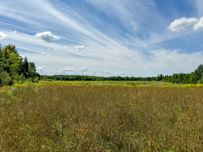 Expansive 325± Acre Land Parcel - Plymouth, ME - image 14