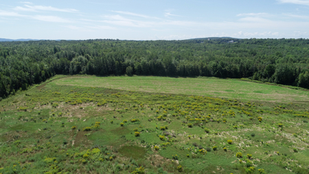 Expansive 325± Acre Land Parcel - Plymouth, ME - image 3