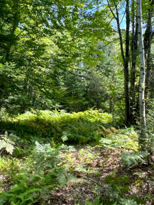 Expansive 325± Acre Land Parcel - Plymouth, ME - image 30