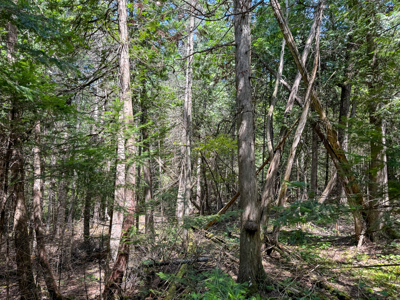 Expansive 325± Acre Land Parcel - Plymouth, ME - image 28