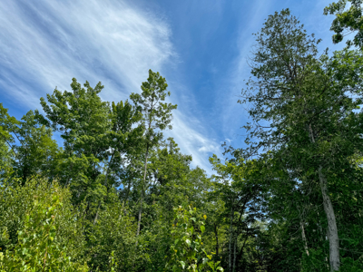 Expansive 325± Acre Land Parcel - Plymouth, ME - image 16