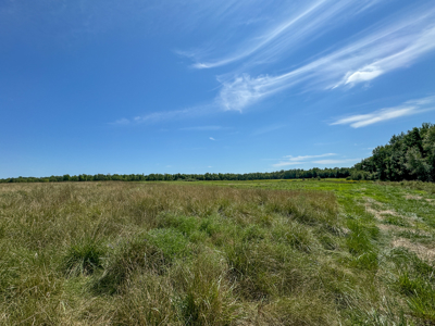 Expansive 325± Acre Land Parcel - Plymouth, ME - image 24