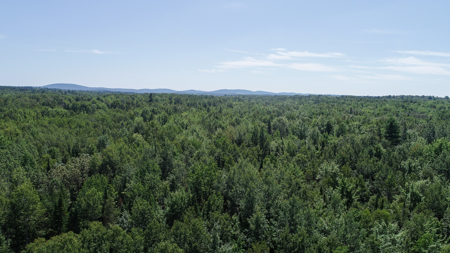 Expansive 325± Acre Land Parcel - Plymouth, ME - image 6