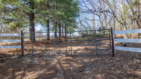 Country Homes and Acreage in the Heart of the Missouri Ozarks - image 50